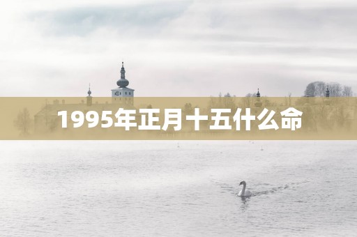 1995年正月十五什么命