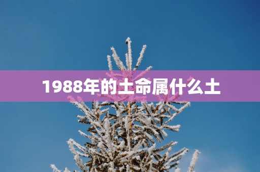 1988年的土命属什么土