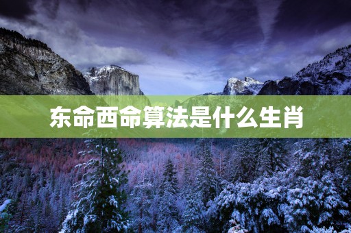 东命西命算法是什么生肖