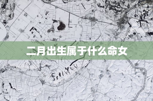 二月出生属于什么命女