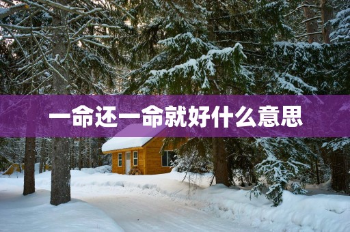 一命还一命就好什么意思