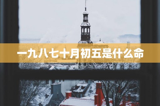 一九八七十月初五是什么命