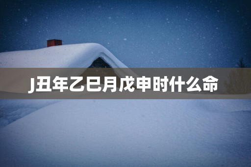 J丑年乙巳月戊申时什么命