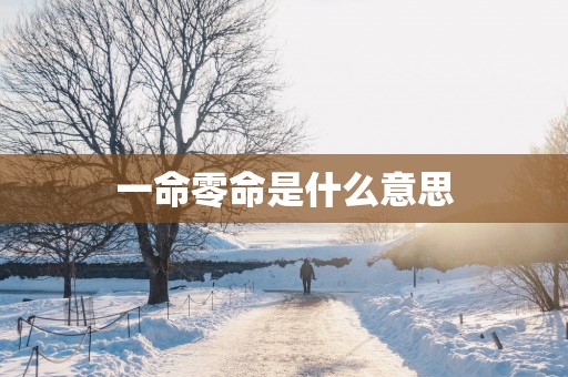 一命零命是什么意思