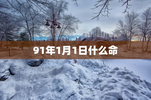 91年1月1日什么命