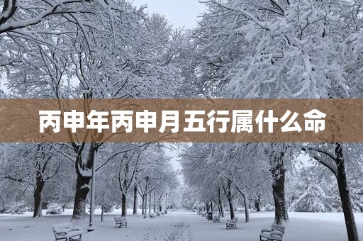 丙申年丙申月五行属什么命