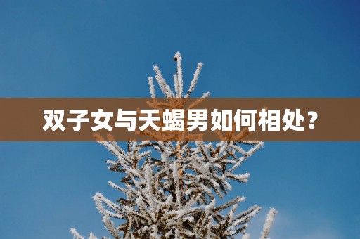 双子女与天蝎男如何相处？