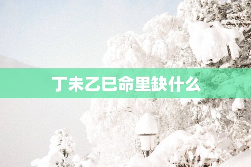 丁未乙巳命里缺什么