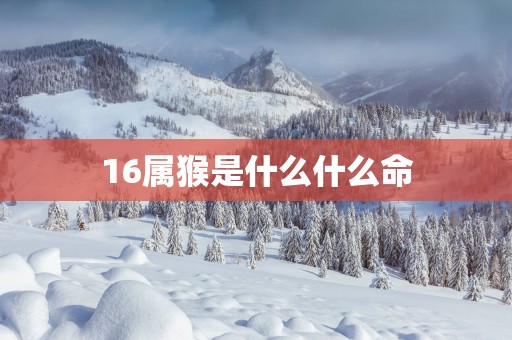 16属猴是什么什么命