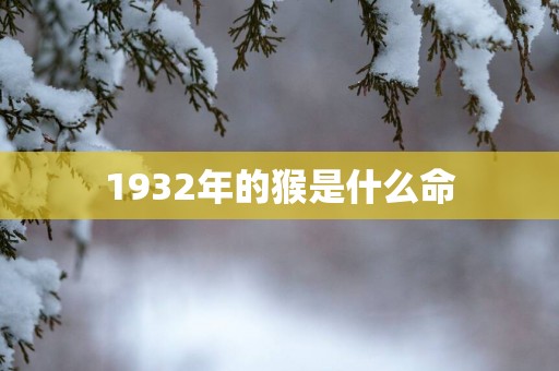 1932年的猴是什么命