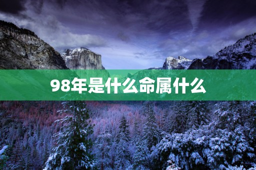 98年是什么命属什么