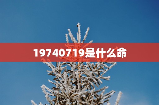 19740719是什么命