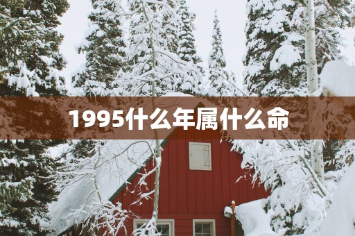 1995什么年属什么命