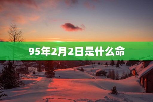 95年2月2日是什么命