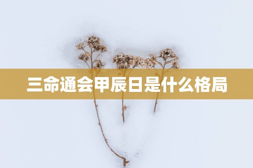 三命通会甲辰日是什么格局