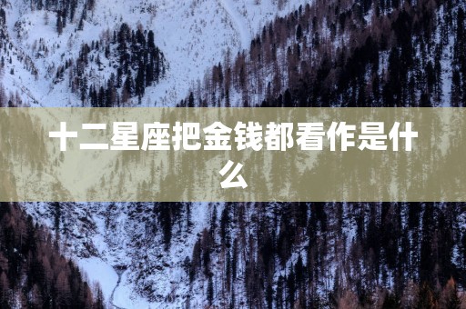 十二星座把金钱都看作是什么