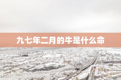 九七年二月的牛是什么命