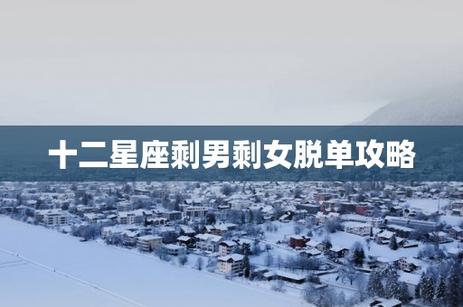 十二星座剩男剩女脱单攻略