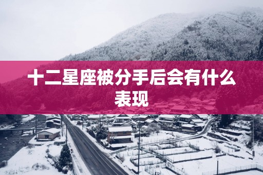 十二星座被分手后会有什么表现