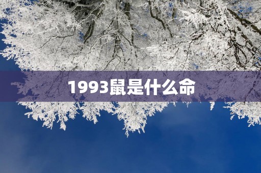 1993鼠是什么命