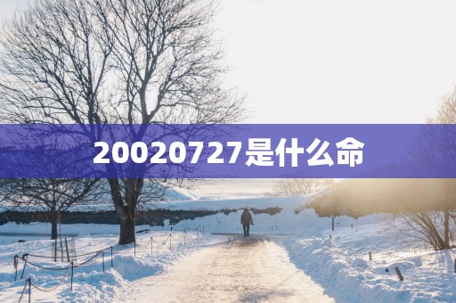 20020727是什么命