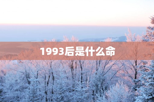 1993后是什么命