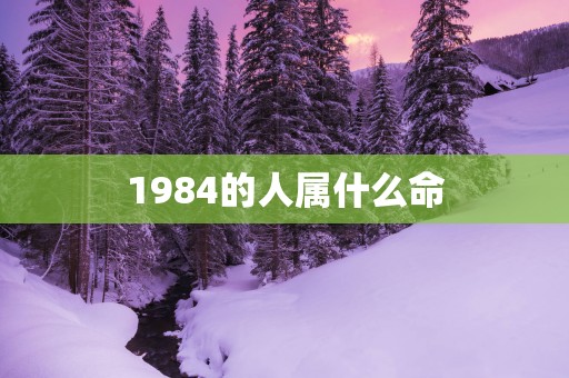 1984的人属什么命