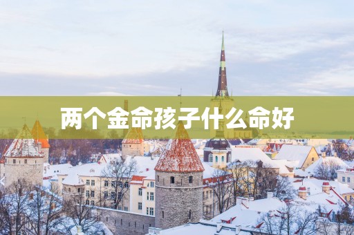 两个金命孩子什么命好