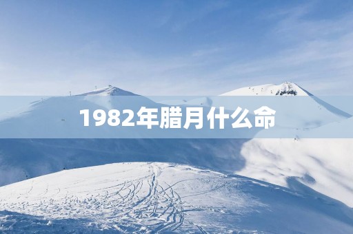1982年腊月什么命