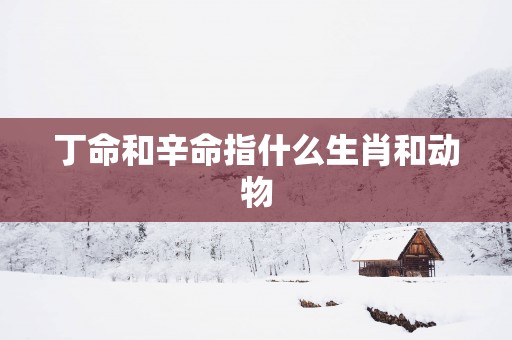 丁命和辛命指什么生肖和动物