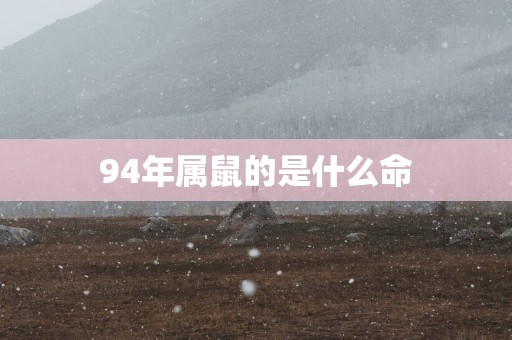 94年属鼠的是什么命