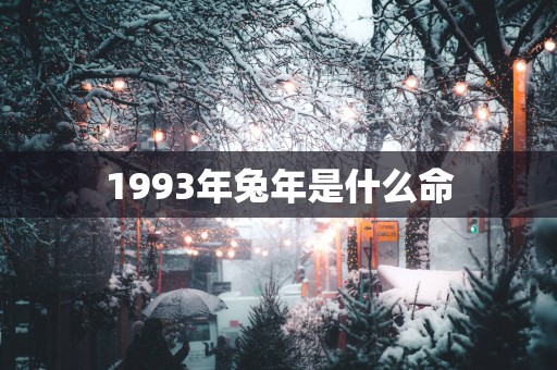 1993年蛇年是什么命