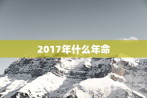 2017年什么年命