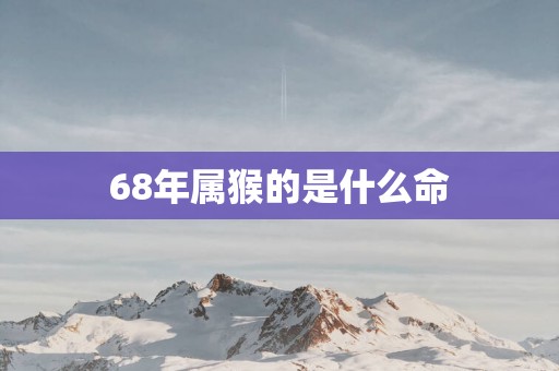 68年属猴的是什么命