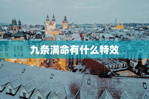 九条满命有什么特效