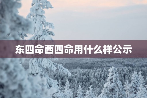 东四命西四命用什么样公示