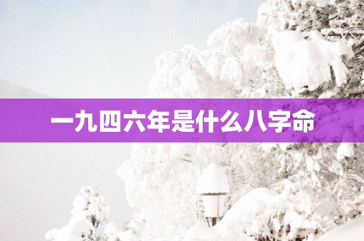 一九四六年是什么八字命