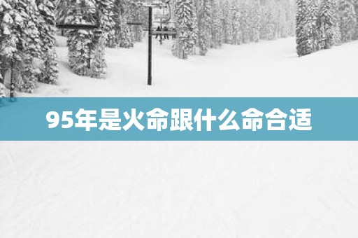 95年是火命跟什么命合适