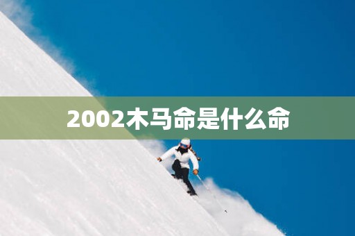 2002木马命是什么命