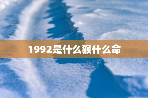1992是什么猴什么命