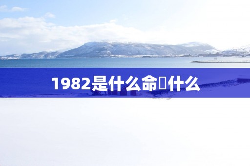 1982是什么命缼什么