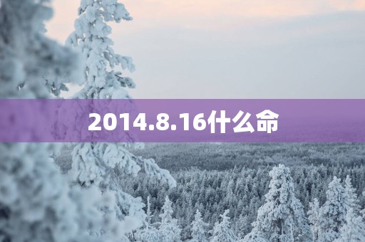 2014.8.16什么命