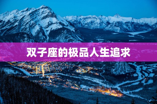 双子座的极品人生追求