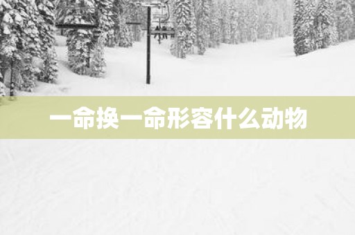一命换一命形容什么动物