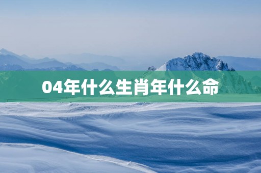 04年什么生肖年什么命