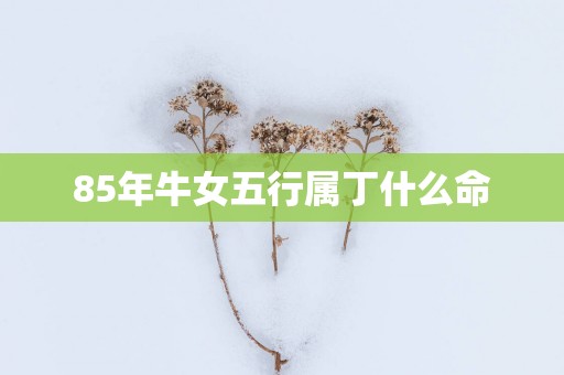 85年牛女五行属丁什么命