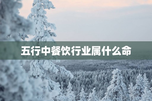 五行中餐饮行业属什么命