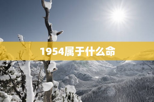 1954属于什么命