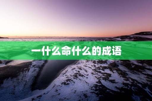 一什么命什么的成语