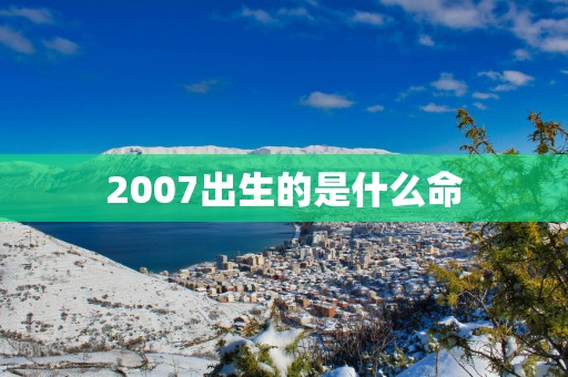 2007出生的是什么命
